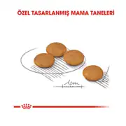 Royal Canin Ccn Mini Derma Yetişkin Köpek Maması 3 Kg 3
