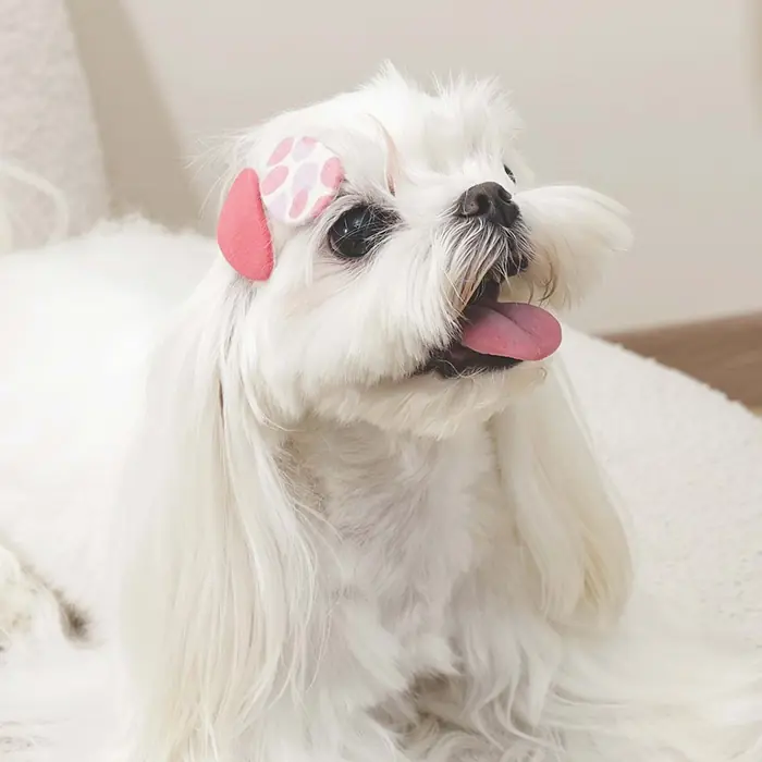 M-Pets Glam Desenli Köpek Tokası