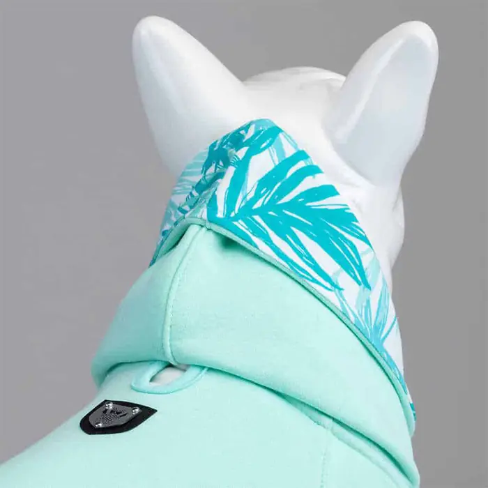 Lindo Mint Green Köpek Sweatshirt