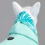 Lindo Mint Green Köpek Sweatshirt 3