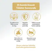 Felicia Kolajenli Somonlu Az Tahıllı Hypoallergenic Yetişkin Kedi Maması 5 Kg 5