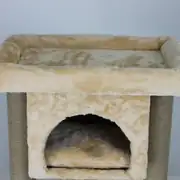 Lotus İzmir Bal Rengi Kedi Tırmalama 6