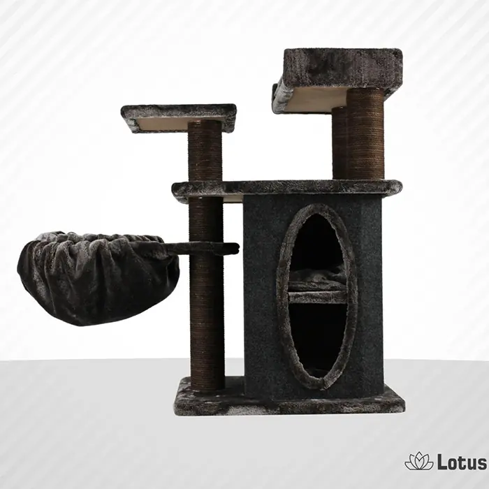 Lotus Alanya Kahverengi Kedi Tırmalama