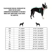 GF PET Alpine Köpek Süveteri 6