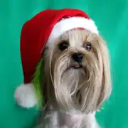 Max Design Noel Baba Şapka 1