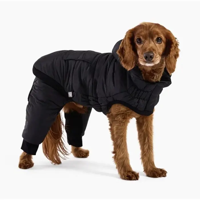GF Pet Odyssey Köpek Kar Tulumu