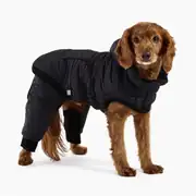 GF Pet Odyssey Köpek Kar Tulumu 5