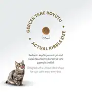 Felicia Az Tahıllı Kuzu Etli HypoAllergenic Anne ve Yavru Kedi Maması 12 Kg 8