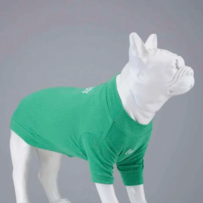 Lindo Make Today Amazing Flex Köpek Tişörtü