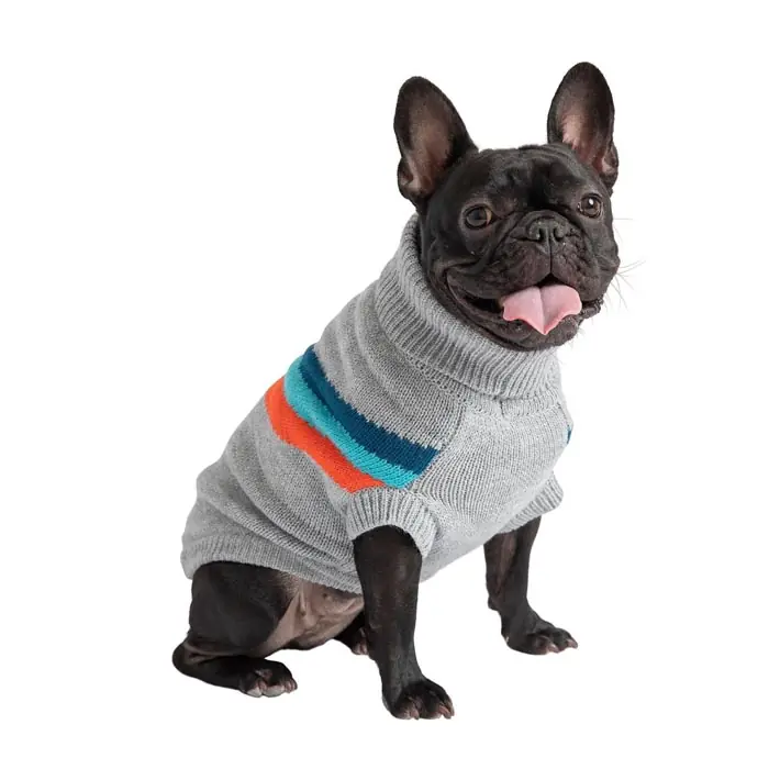 GF PET Alpine Köpek Süveteri