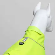 Lindo Softshell Neon Yeşil Küçük,Orta ve Büyük Irk Köpek Yağmurluğu 3