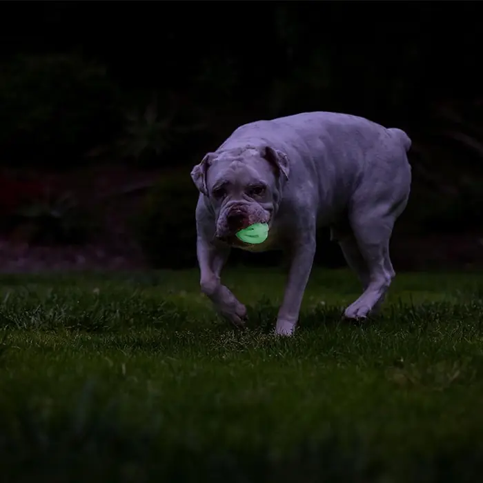 Chuckit! Max Glow Air Fetch Gece Parlayan Köpek Oyun Topu Orta Boy