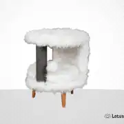 Lotus Venedik Krem Kedi Tırmalama 2