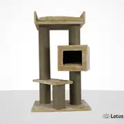 Lotus Toulouse Bal Rengi Kedi Tırmalama 1