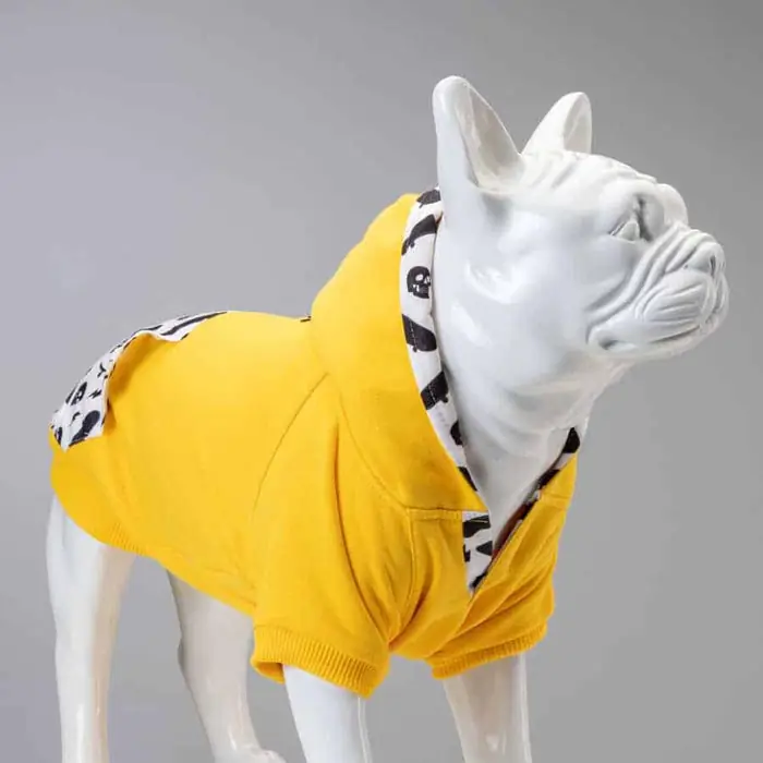 Lindo Freedom Köpek Sweatshirt