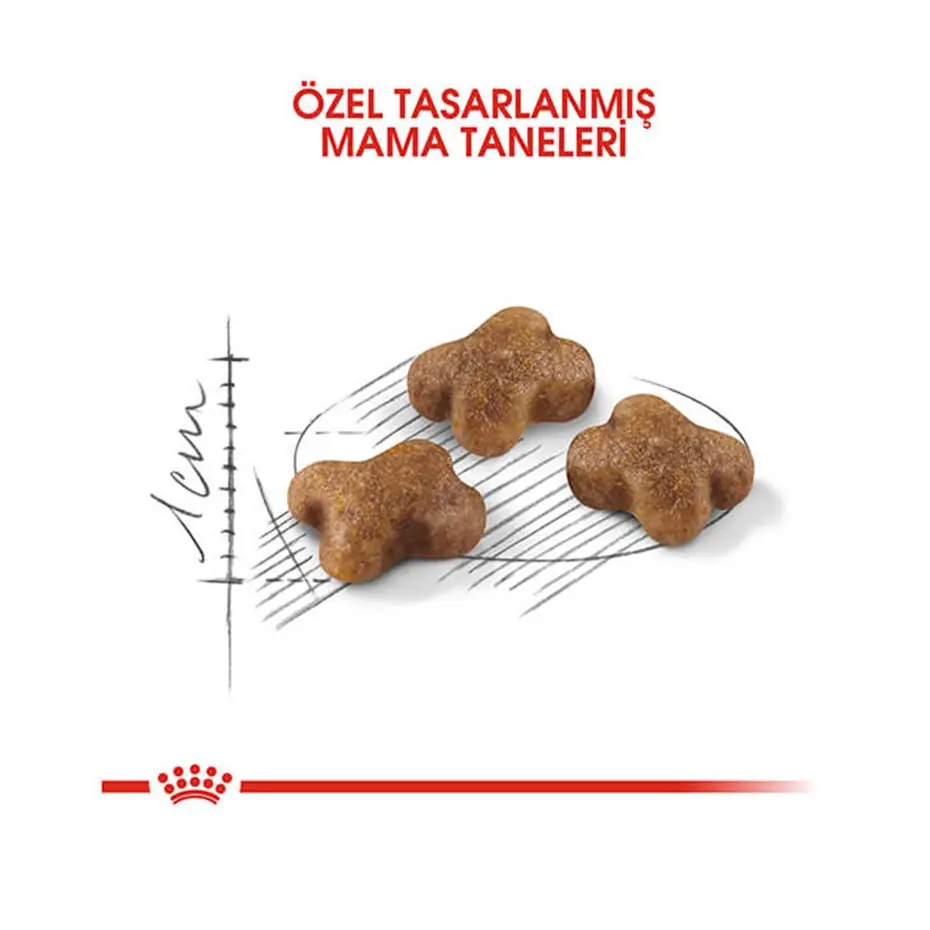 Royal Canin Kitten Yavru Kedi Maması 2 Kg 6 Adet