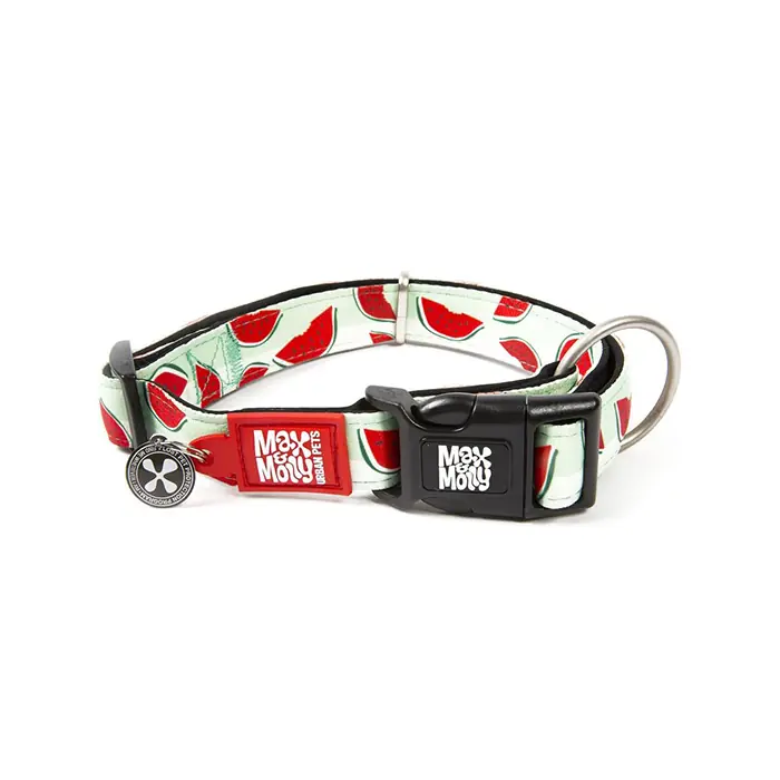 Max & Molly Smart ID Watermelon Köpek Boyun Tasması Large