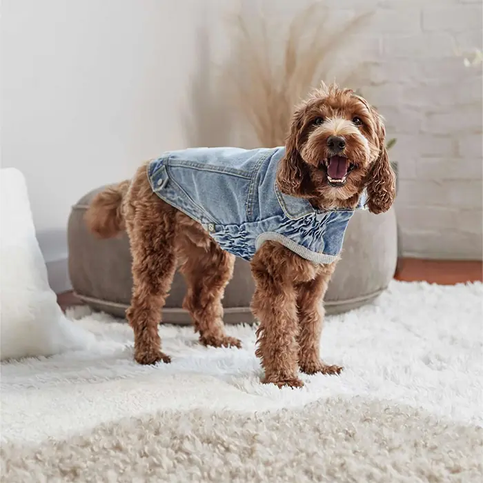 GF Pet 90lar Kot Köpek Montu