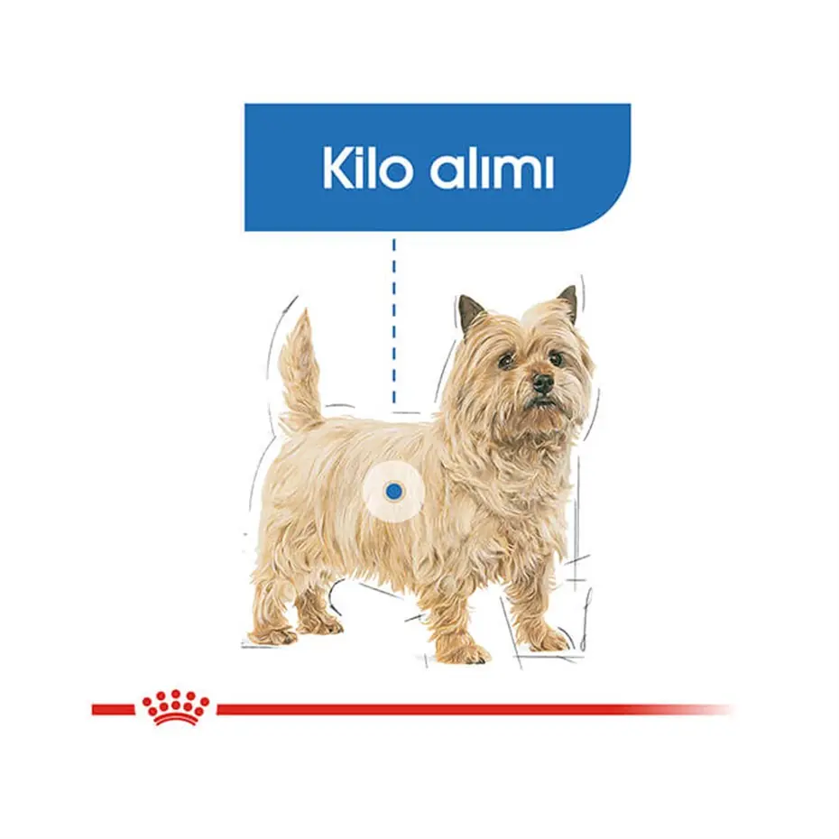 Royal Canin Ccn Mini Light Weightcare Yetişkin Köpek Maması 3 Kg