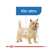 Royal Canin Ccn Mini Light Weightcare Yetişkin Köpek Maması 3 Kg 4