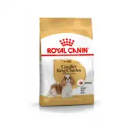 Royal Canin Cavalier King Charles Köpek Maması 3 Kg 1