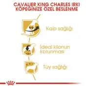 Royal Canin Cavalier King Charles Köpek Maması 3 Kg 3