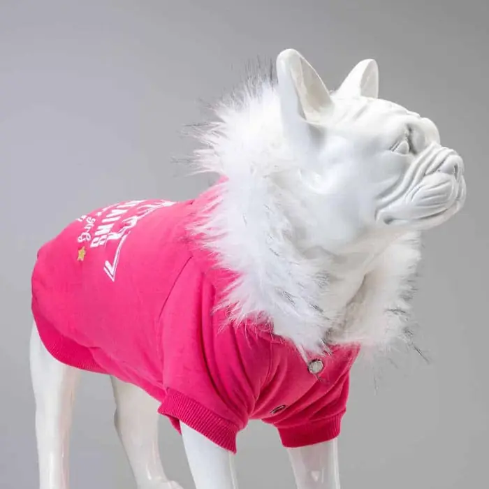 Lindo Mountains Küçük ve Orta Irk Köpek Sweatshirt