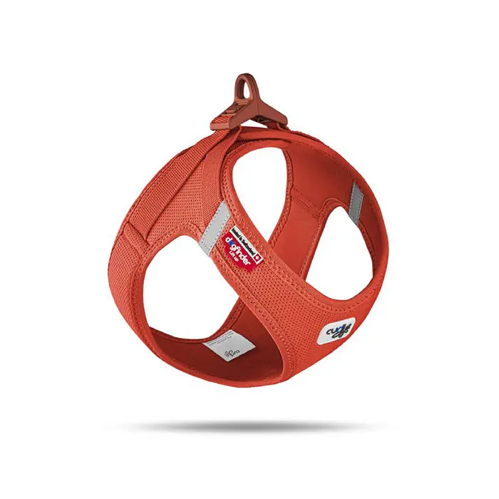 Curli Vest Harness Clasp Air-Mesh Köpek Göğüs Tasması Sun Orange Large