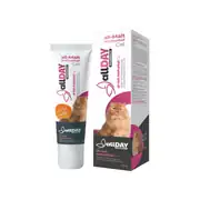 ALLDAY Anti-Hairball Tüy Yumağı Engelleyici Kedi Maltı 100gr 1