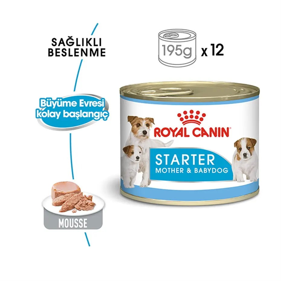 Royal Canin Starter Mousse Anne ve Yavruları İçin Köpek Konservesi 195 Gr