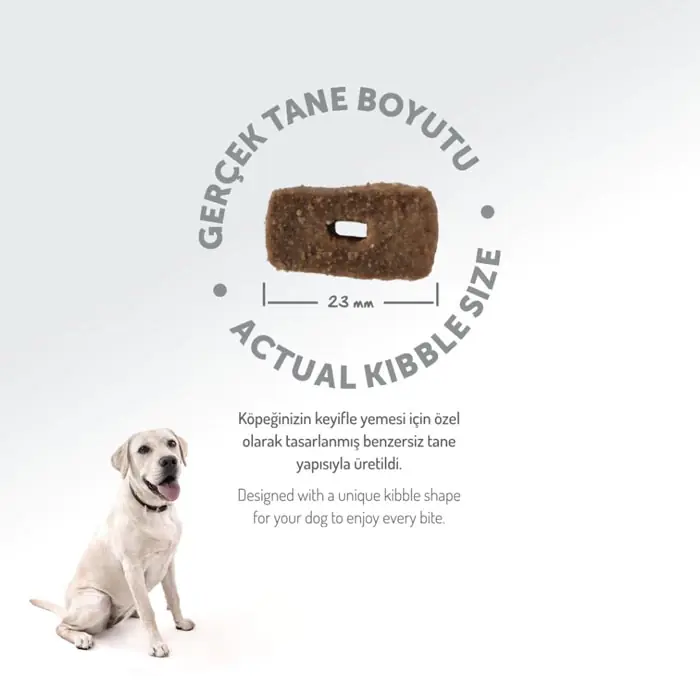 Felicia Az Tahıllı Yetişkin Kuzulu Medium Large Breed HypoAllergenic Köpek Maması 3 Kg