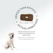 Felicia Az Tahıllı Yetişkin Kuzulu Medium Large Breed HypoAllergenic Köpek Maması 3 Kg 8