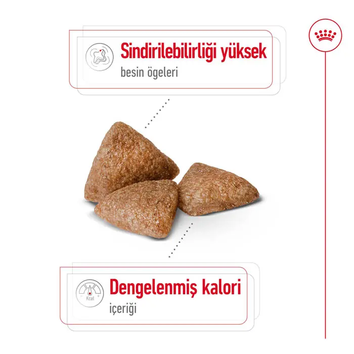 Royal Canin Mini Indoor Adult Yetişkin Köpek Maması 1,5 Kg
