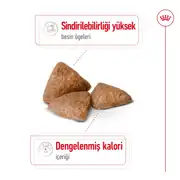 Royal Canin Mini Indoor Adult Yetişkin Köpek Maması 1,5 Kg 8