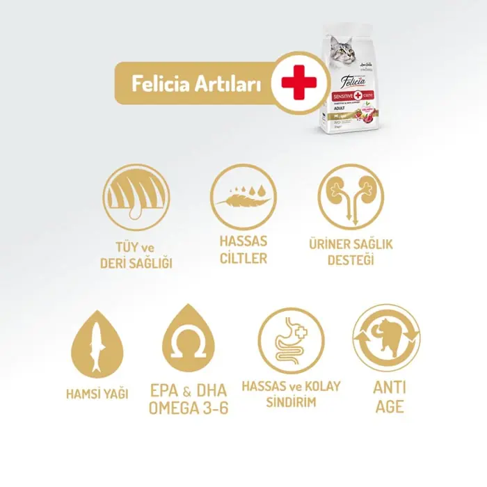 Felicia Az Tahıllı HypoAllergenic Kuzu Etli Yetişkin Kedi Maması 2 Kg