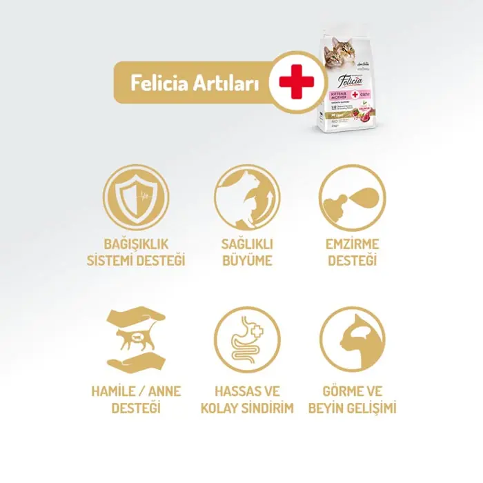 Felicia Az Tahıllı Kuzu Etli HypoAllergenic Anne ve Yavru Kedi Maması 12 Kg