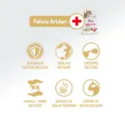 Felicia Az Tahıllı Kuzu Etli HypoAllergenic Anne ve Yavru Kedi Maması 12 Kg 5