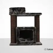 Lotus Vilnius Kahverengi Kedi Tırmalama 1