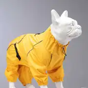 Lindo Quattro Vega Köpek Yağmurluğu 2