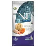 N&D Ocean Morina Balıklı Bal Kabaklı ve Karidesli Tahılsız Yavru Kedi Maması 5 kg 1