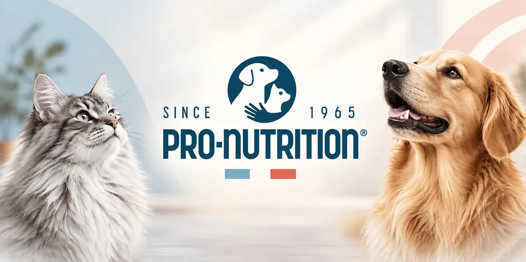 Pro Nutrition