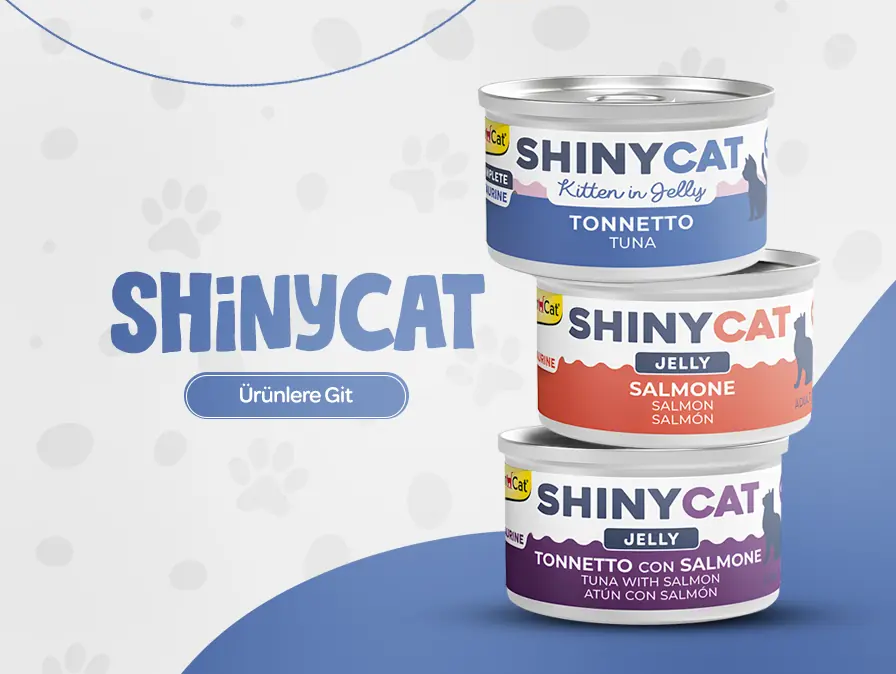 Gimcat New Shinycat Serisi