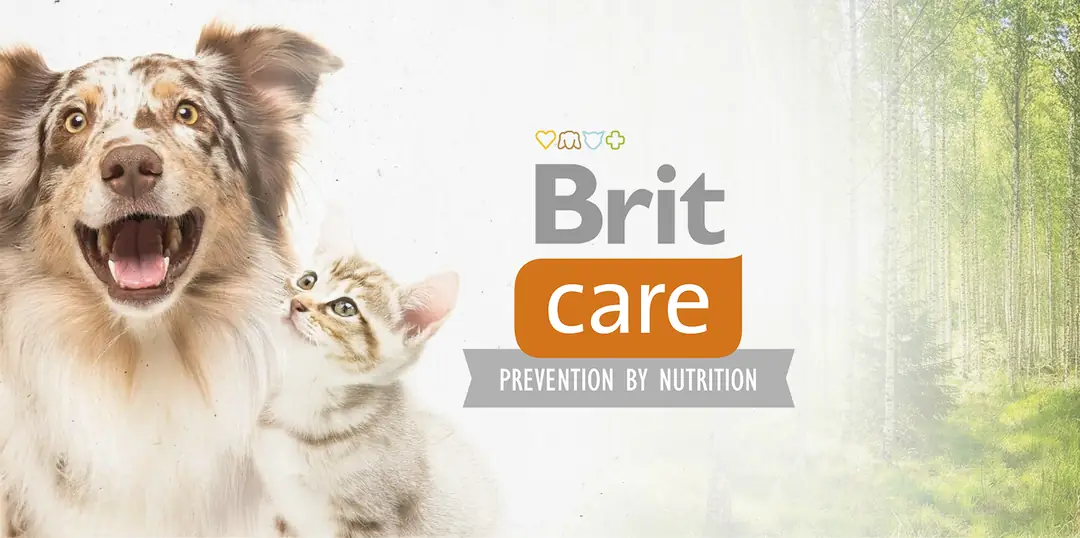 Brit Care