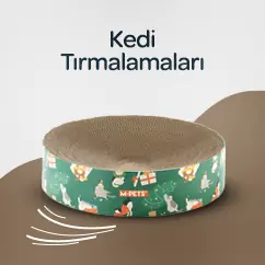 KEDİ TIRMALAMALARI