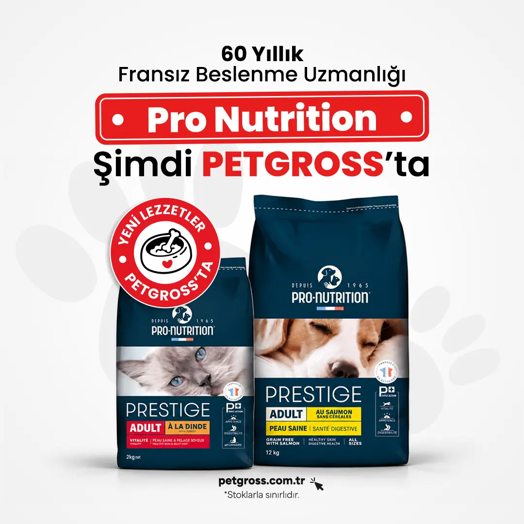 Pro Nutrition