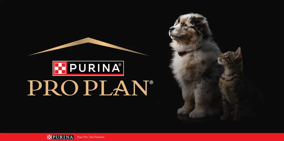 Proplan