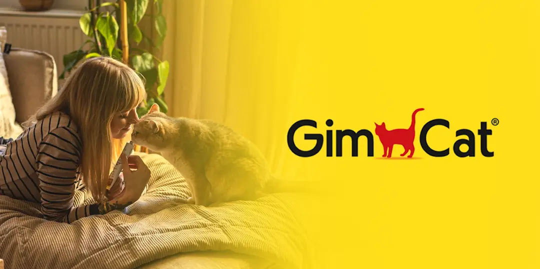 Gim Cat